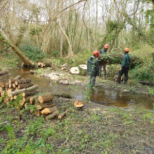 Cours d'eau